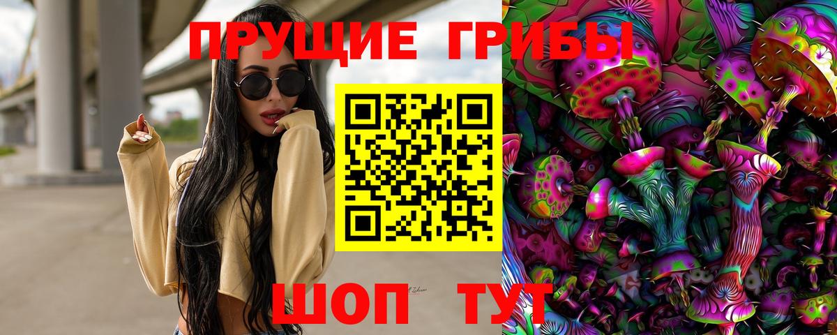 Псилоцибиновые грибы Psilocybe Дзержинский